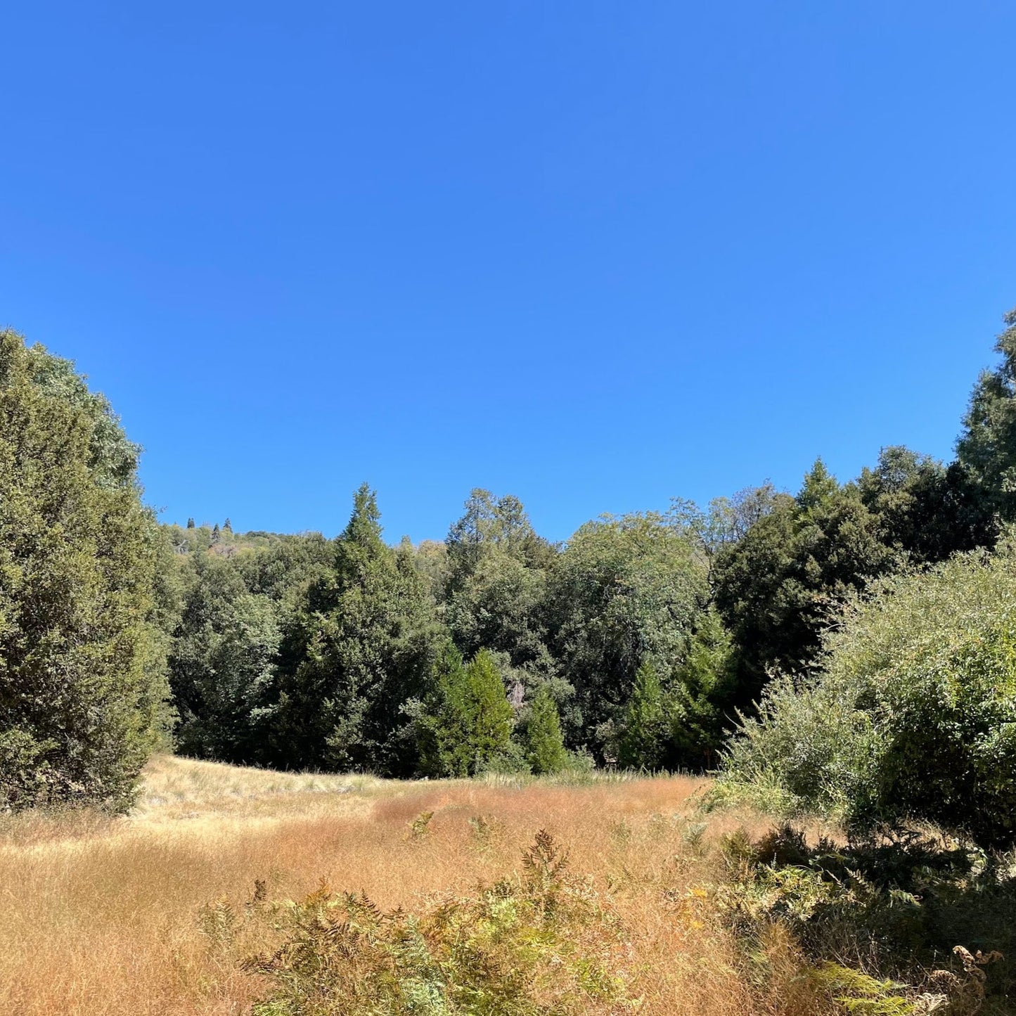 Our Family's Favorite Hike