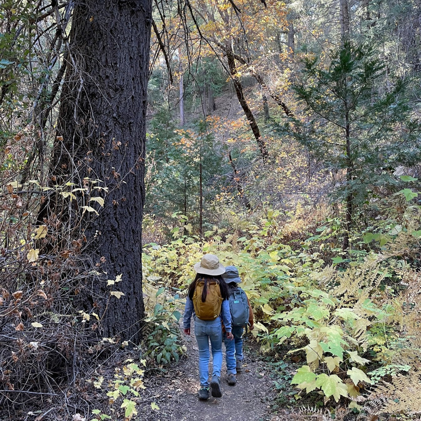 Our Family's Favorite Hike