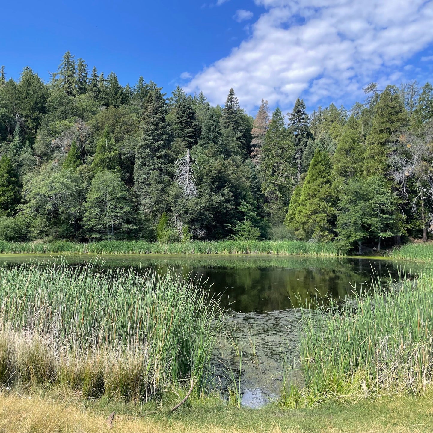 Our Family's Favorite Hike