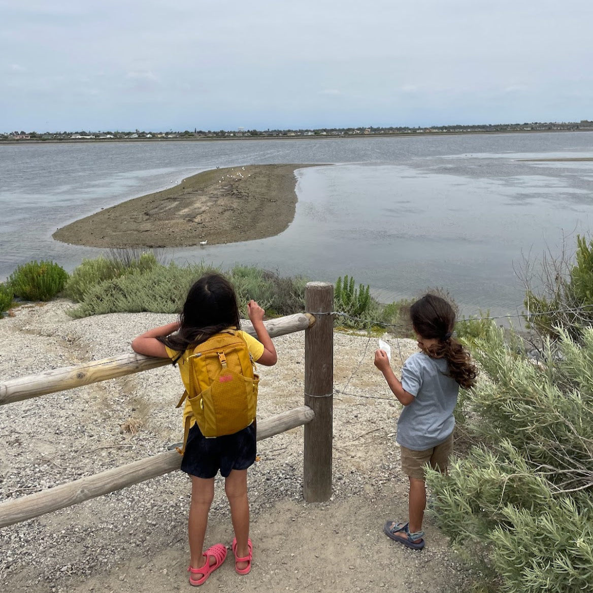 Salt Marsh Hike