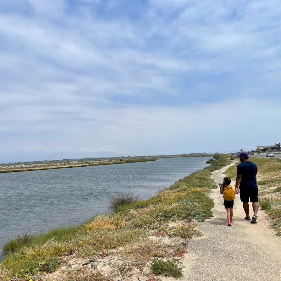 Salt Marsh Hike