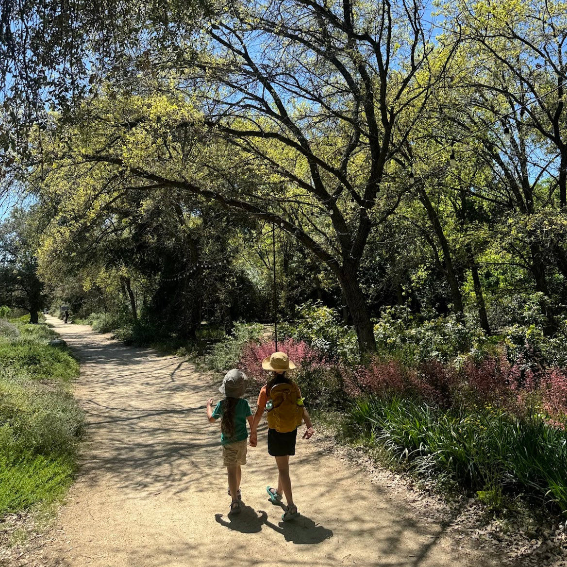 Native Plants Hike
