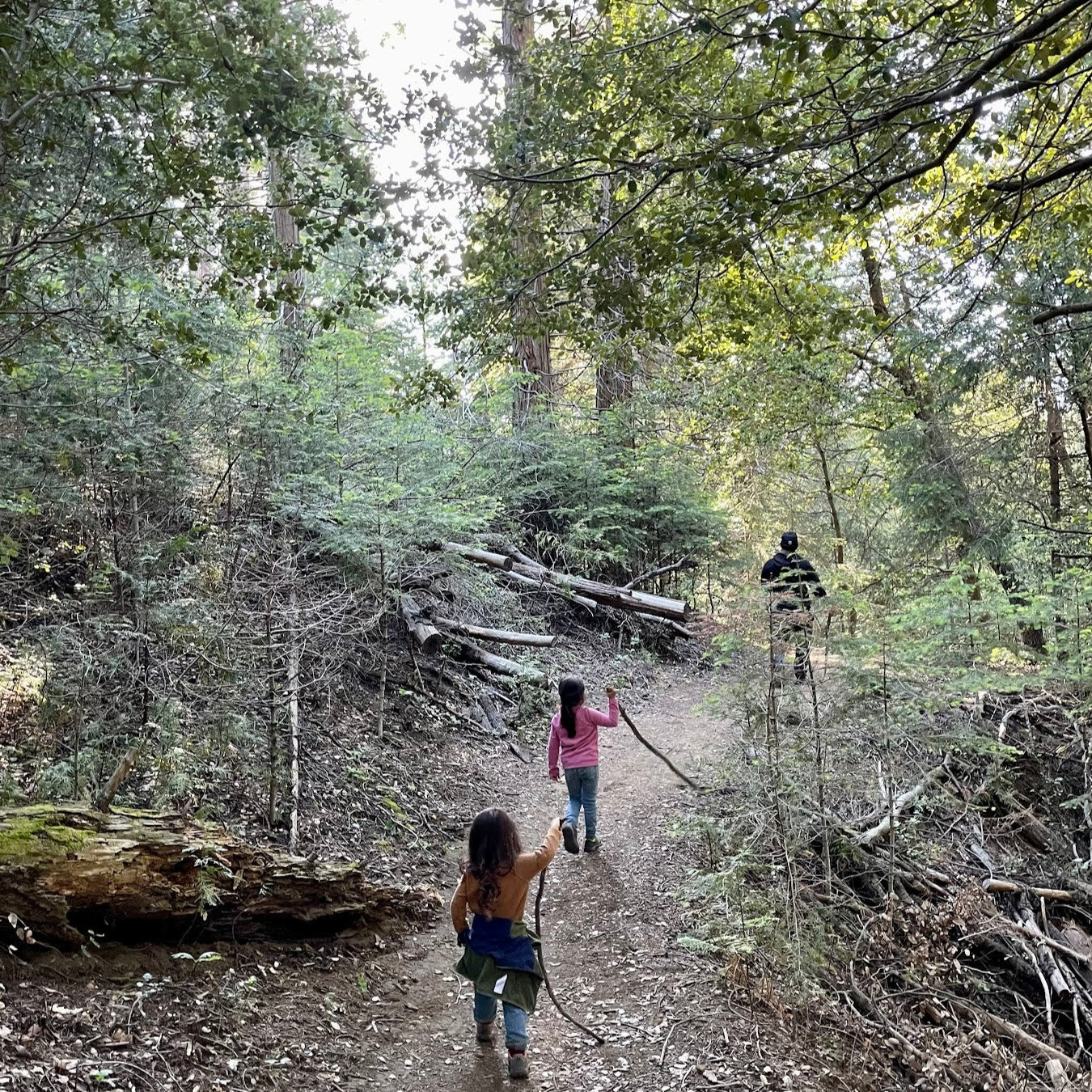 Our Family's Favorite Hike