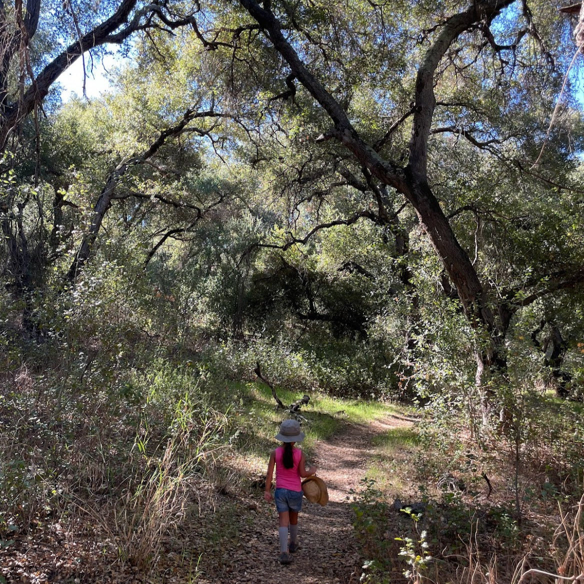 Oak Tunnel Hike