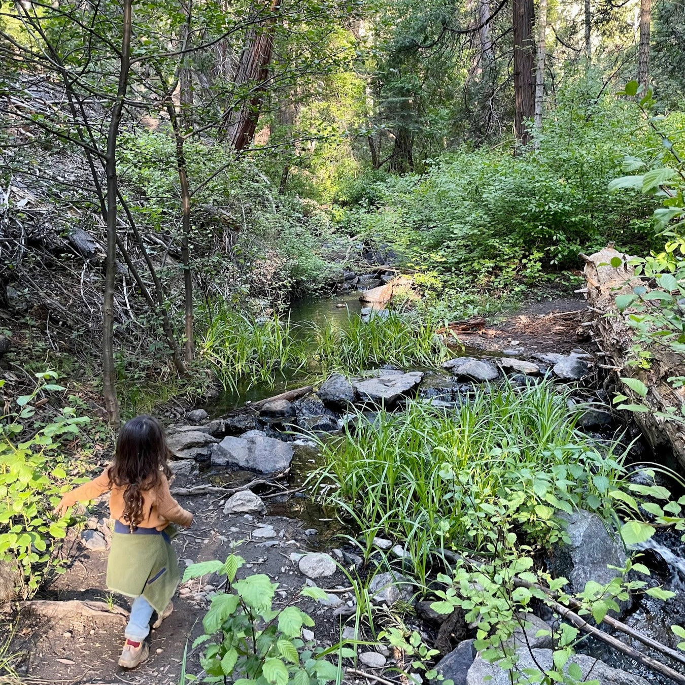Our Family's Favorite Hike