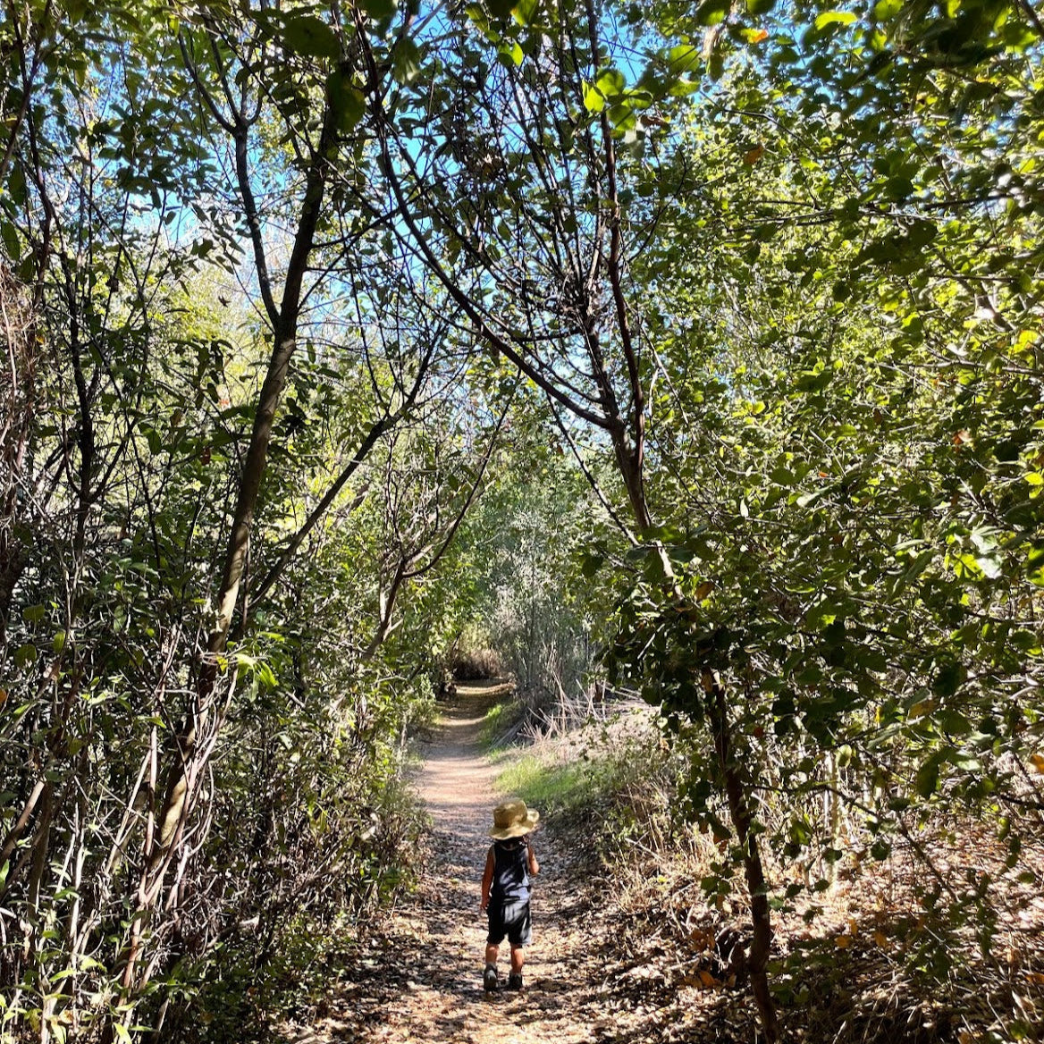Oak Tunnel Hike